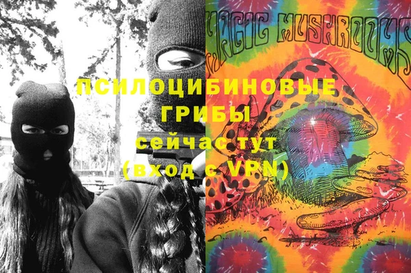 хмурый Снежногорск