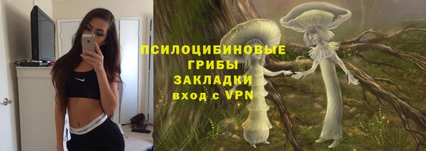 не бодяженный Снежинск