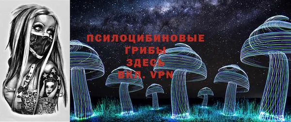 хмурый Снежногорск