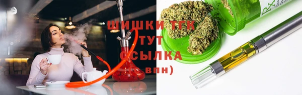 хмурый Снежногорск