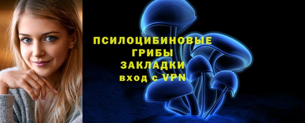 Альфа ПВП Слюдянка