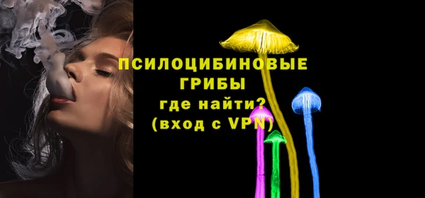 хмурый Снежногорск