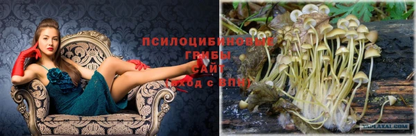 Альфа ПВП Слюдянка