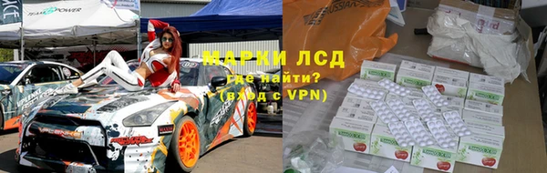хмурый Снежногорск