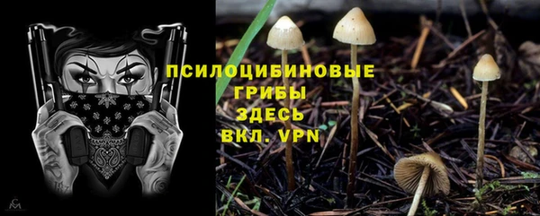 Альфа ПВП Слюдянка