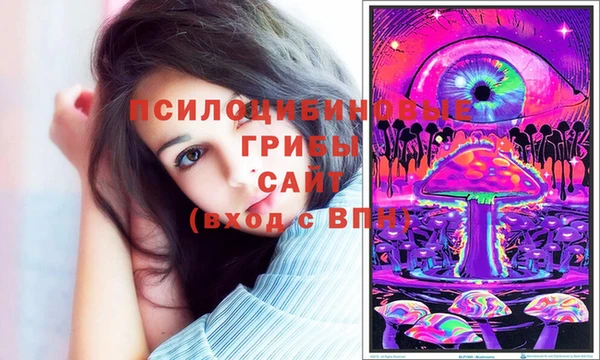 не бодяженный Снежинск