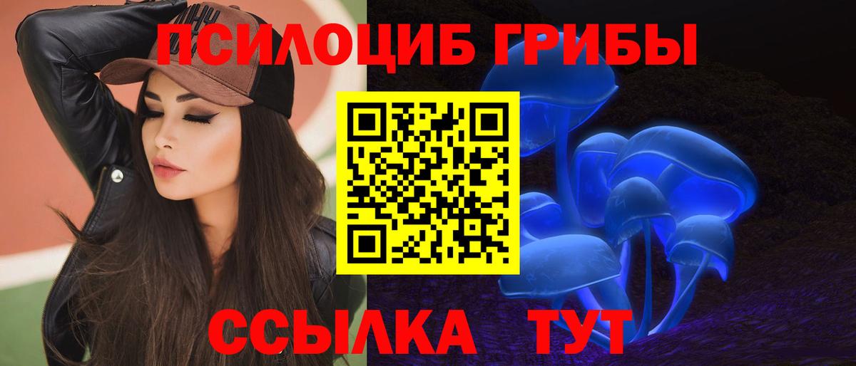 Галлюциногенные грибы Psilocybe Тутаев