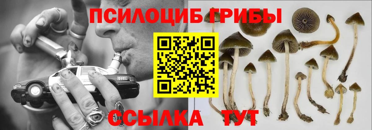 Галлюциногенные грибы мицелий  Вход с VPN  Галлюциногенные грибы Magic Shrooms  Тутаев 
